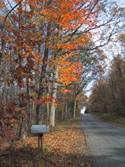 Hoy Road in Fall