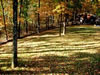 Just Far Enough Getaway: Fall shadows cross the lawn